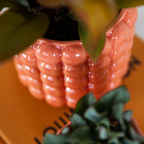 Orange Orchidee im Deko-Topf auf einem Schreibtisch im Homeoffice